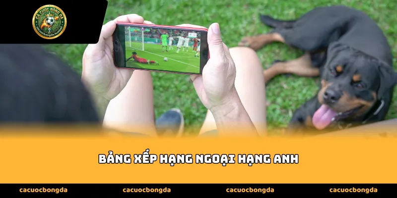 Vai trò của Bảng xếp hạng Ngoại hạng Anh trong chiến thuật