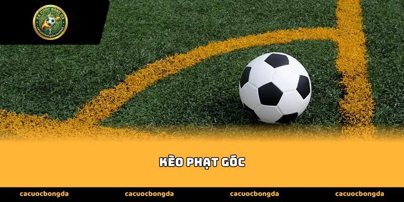 Sức Hút Khó Cưỡng Từ Những Quả Kèo phạt góc