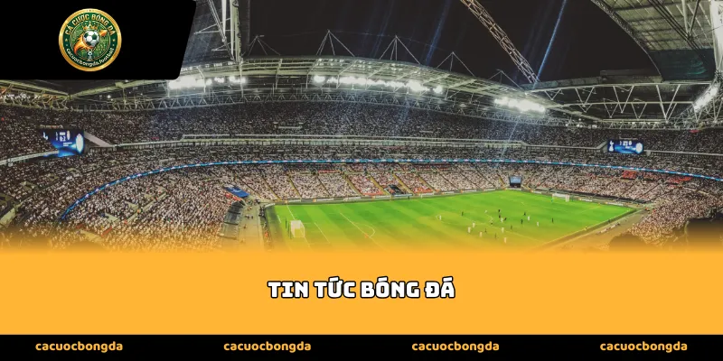 Giá trị cốt lõi khi theo dõi tin tức bóng đá mỗi ngày